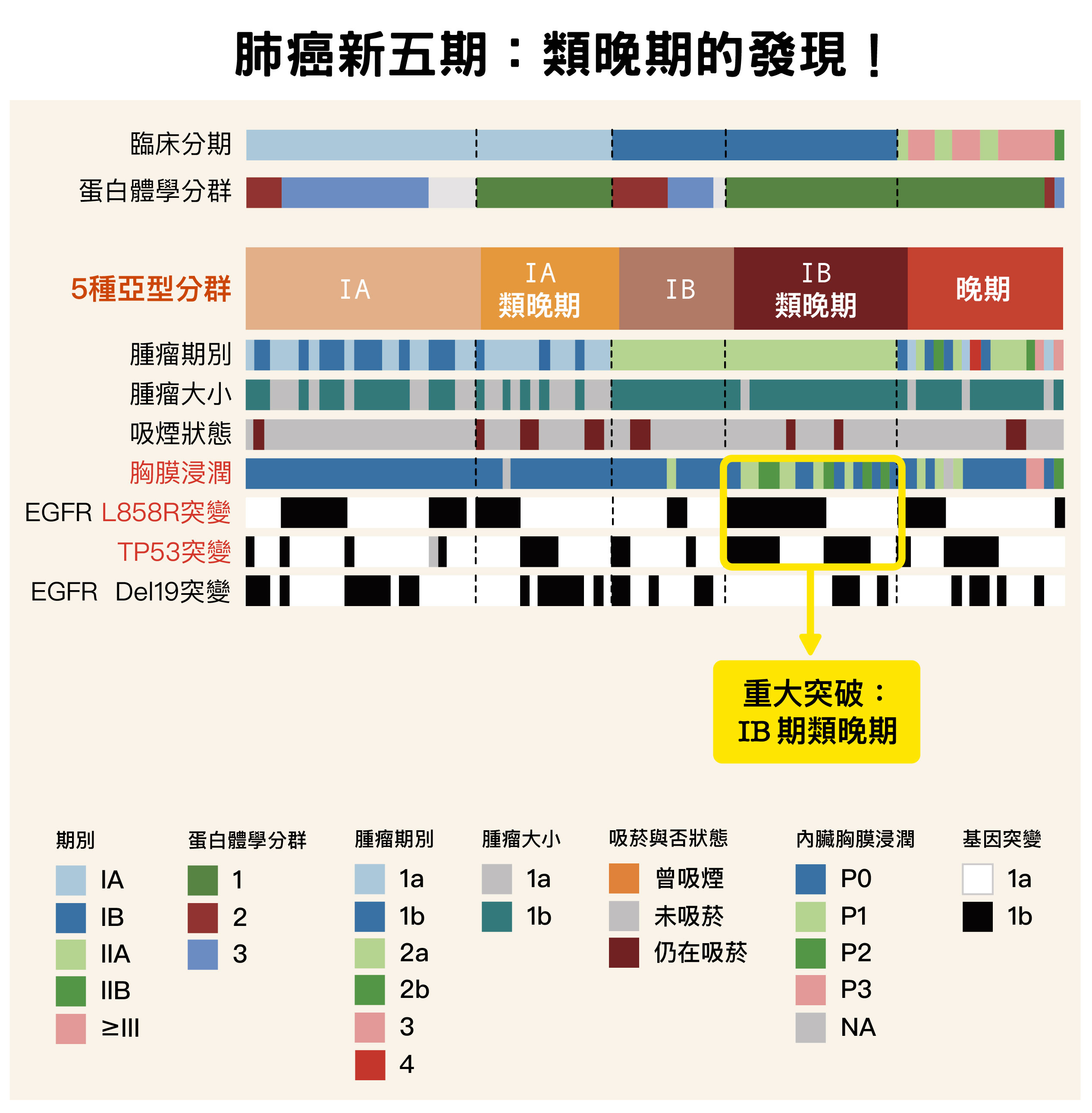 病患的蛋白質特徵可分為三群,以綠色、紅色、藍色表示,其中綠色占最大宗,具有胸膜浸潤、轉移等較惡性的病徵,屬於分子層次上的晚期。紅色和藍色則屬於分子分期的早期。 分子分期再結合臨床上的癌症分期,可將病患分成五群。其中,臨床上被界定為早期、但分子層次接近晚期的「類晚期」是本次研究的新發現。圖片來源:陳玉如