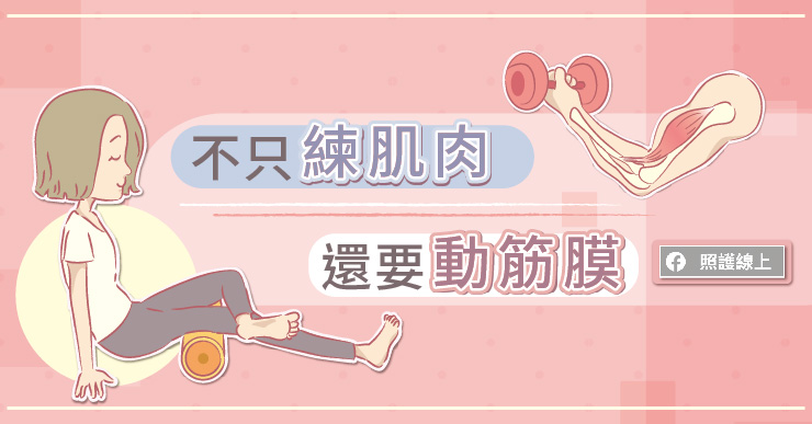 筋膜與肌肉形成「肌筋膜網路」