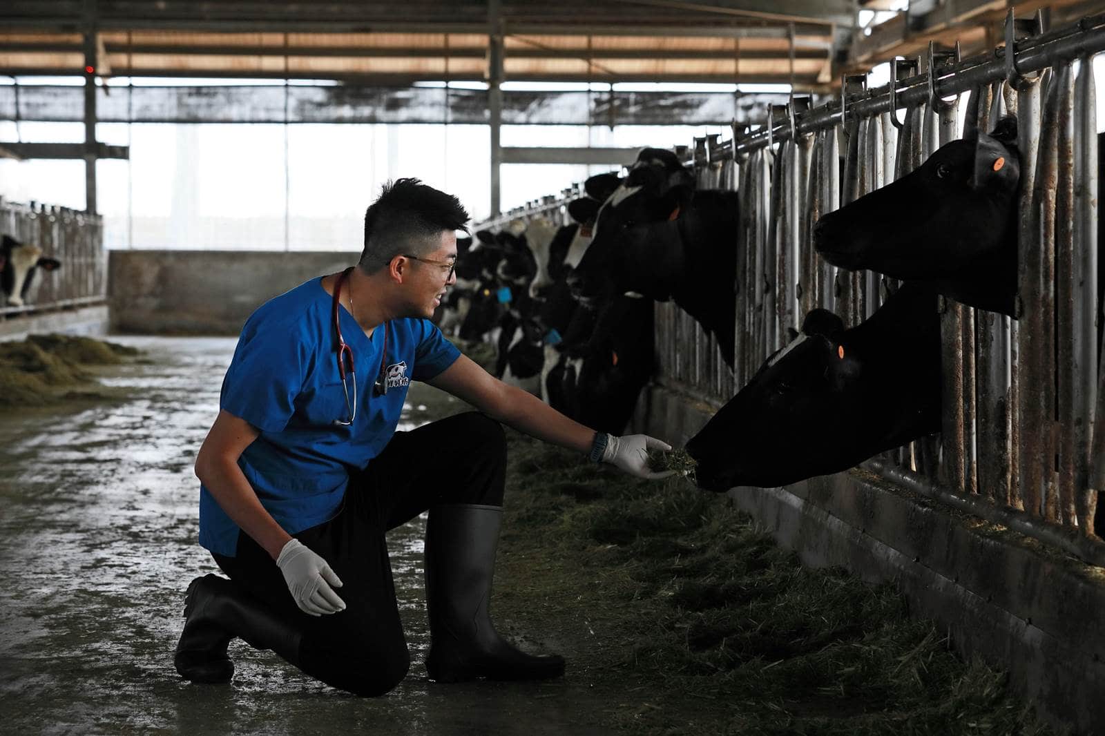 鮮乳坊營收破5億 叛逆獸醫師救牛奶 幫小農找回價值 天下雜誌