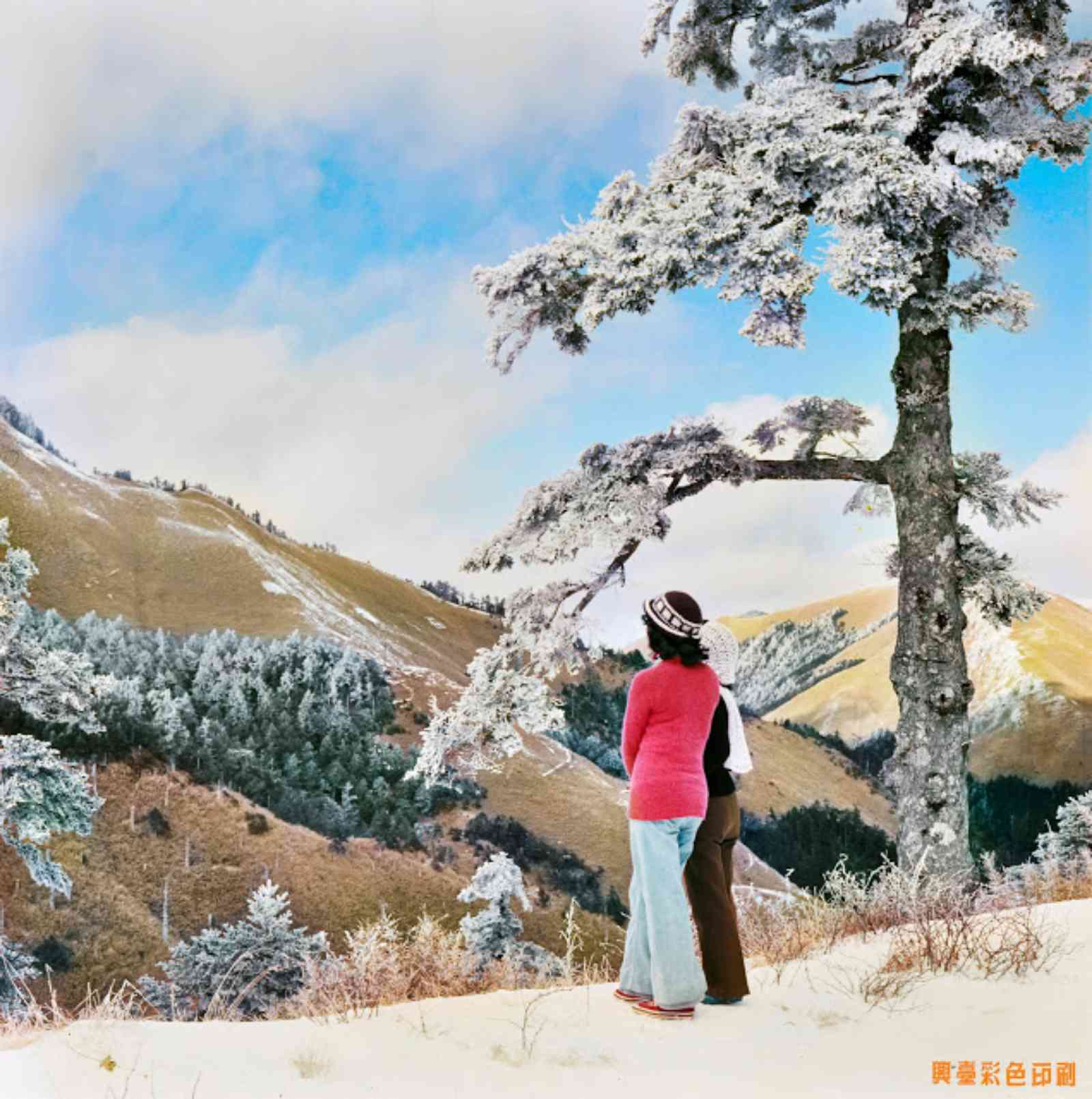 合歡山雪景。