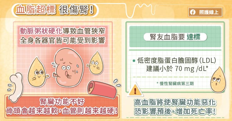 血脂超標很傷腎！