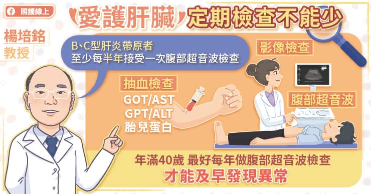愛護肝臟定期檢查不能少