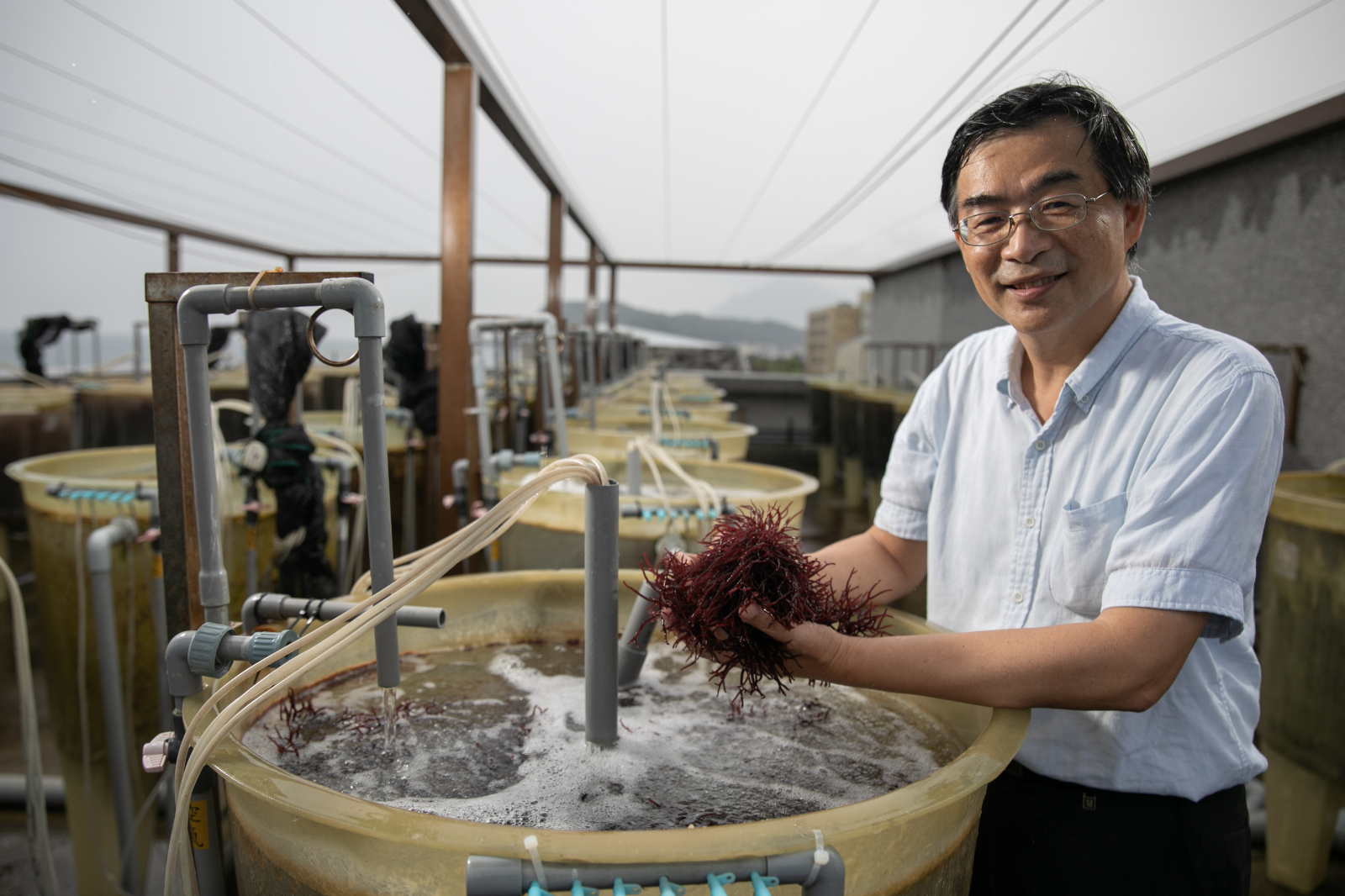 海洋大學全力投入海洋生態與永續，而藻類養殖與藻類生物技術研究就是一大突破。（圖為海洋中心助理研究員張睿昇博士）。