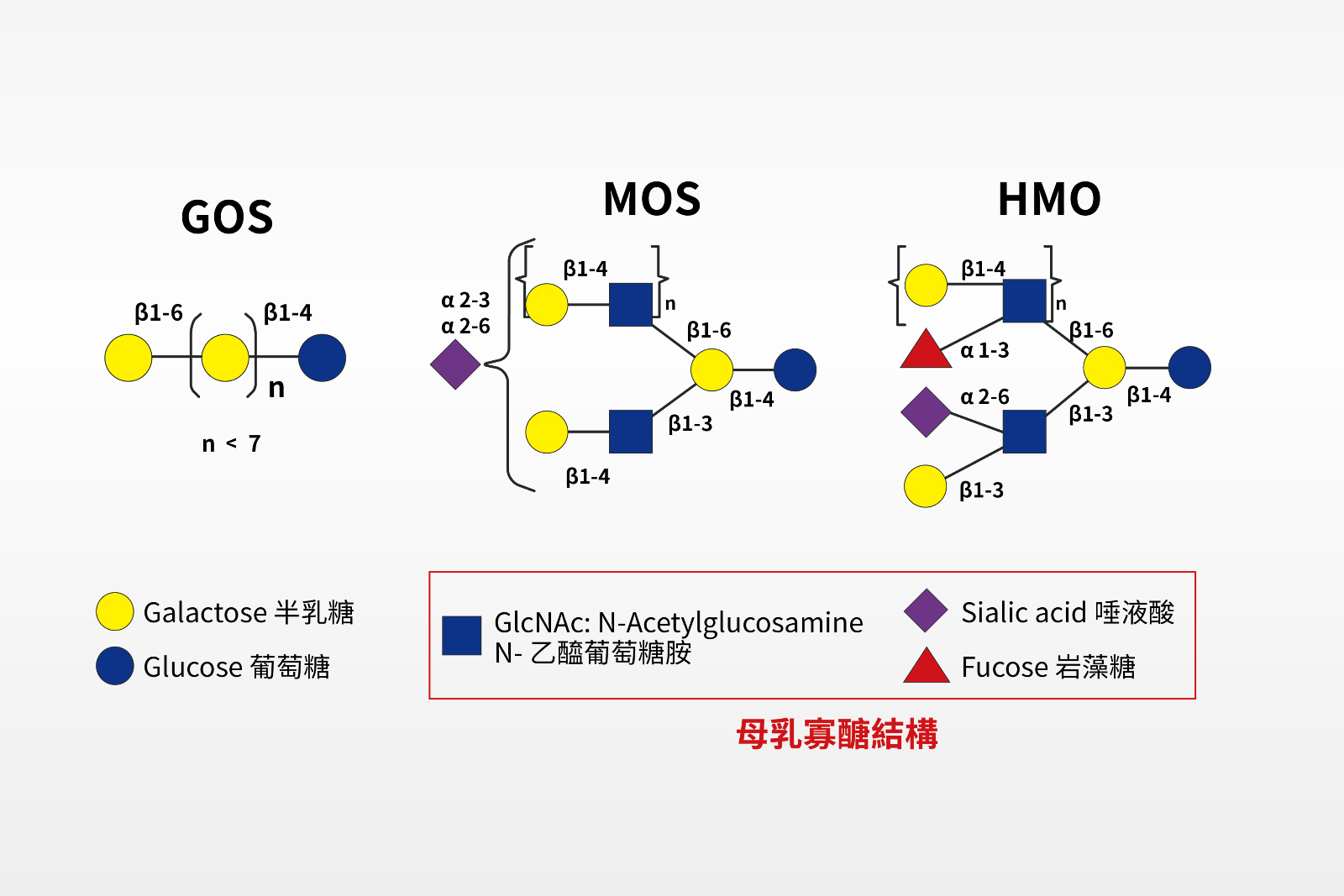 母乳活性因子:母乳寡醣HMO與乳源寡醣MOS結構;MOS 是銜接母乳科技研發出結構近似母乳寡醣的活性因子。
