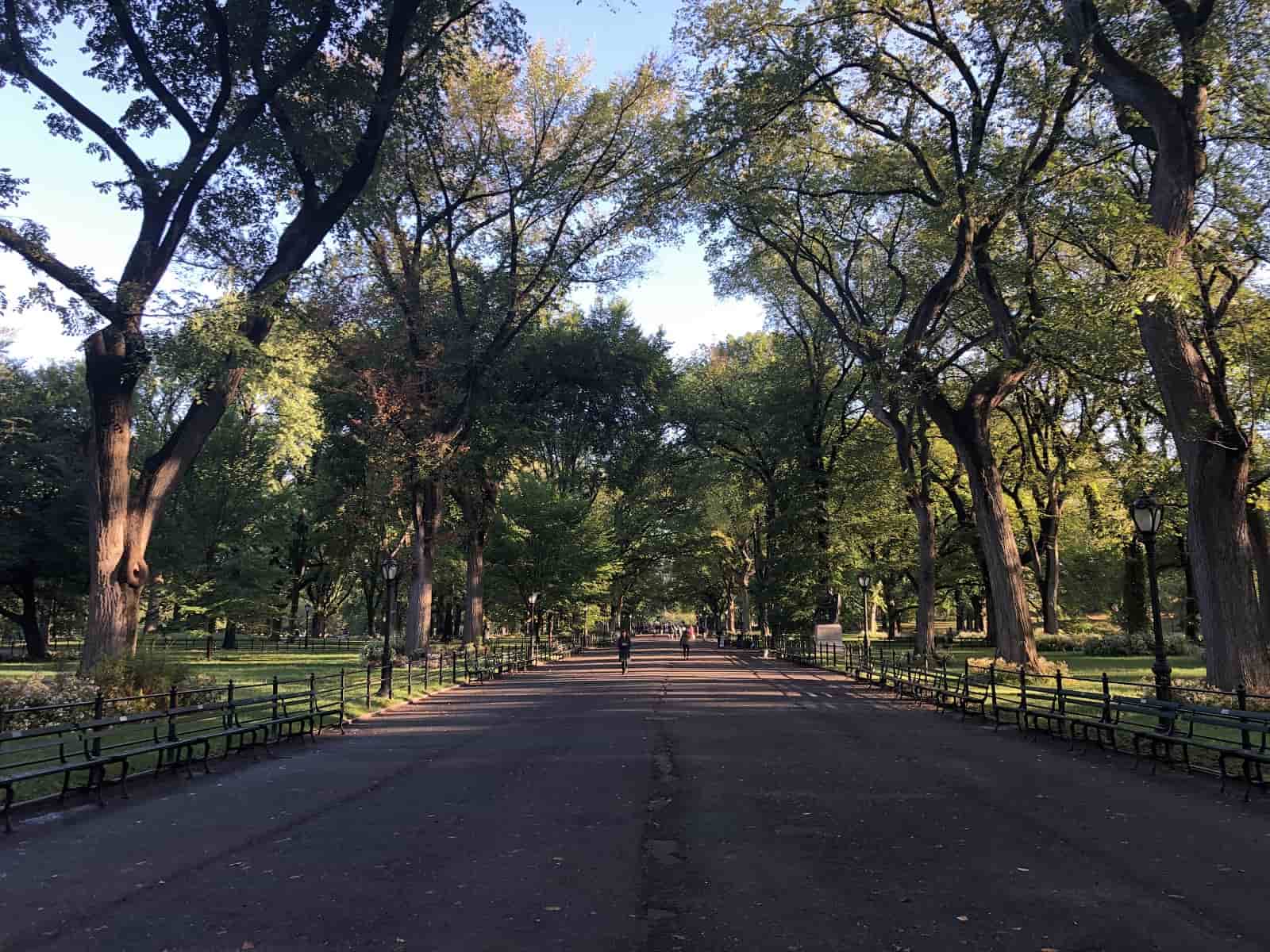 紐約中央公園-林蔭大道-美國-公園-旅行