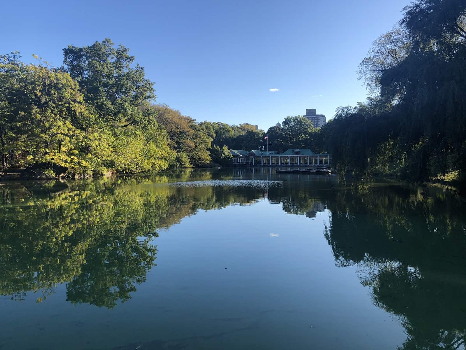 紐約中央公園-船屋-美國-公園-旅行