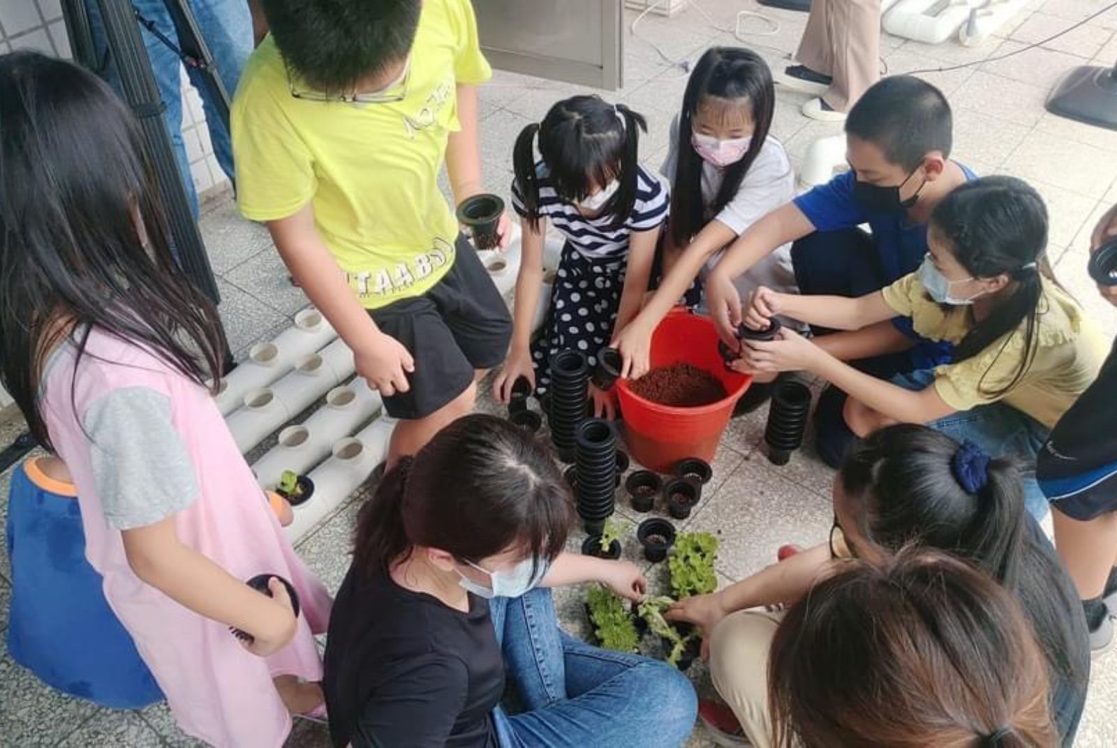 「魚菜藻三相共生系統」教學,讓小朋友從小建立生態永續的觀念。