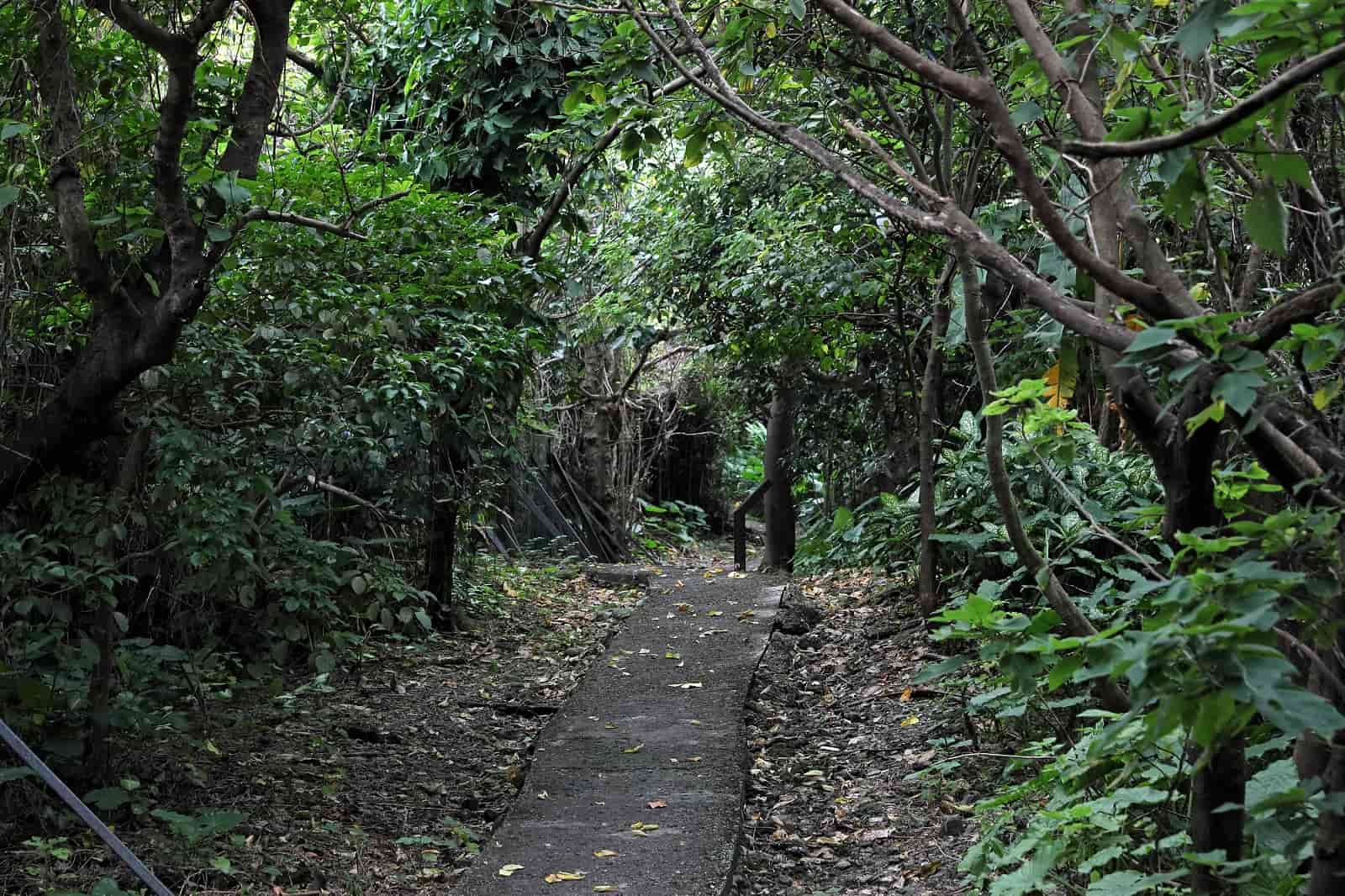 台北祕境-古蹟-自來水博物館-觀音山蓄水池-步道