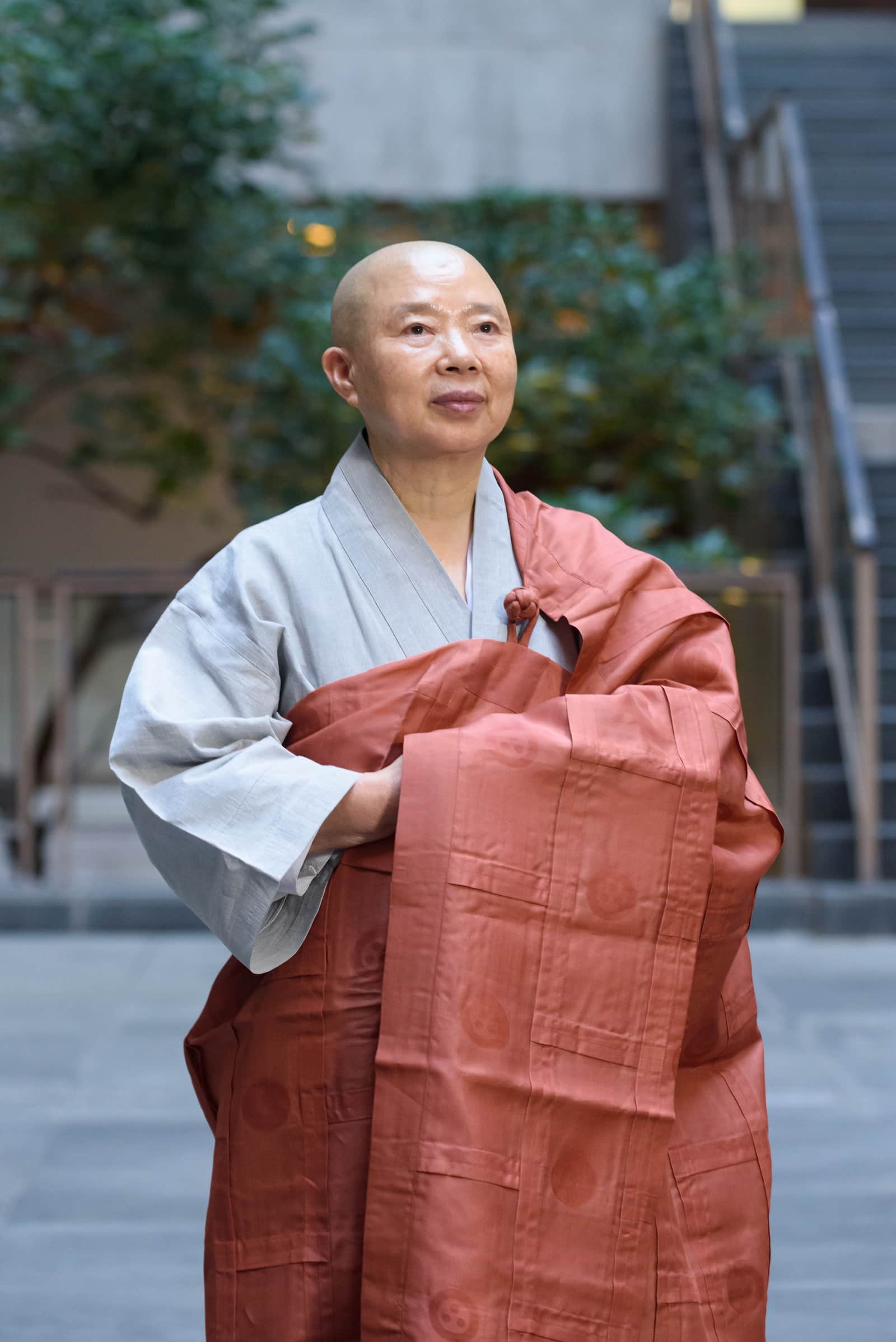 韓國-蔬食-Netflix-正寬法師-名廚
