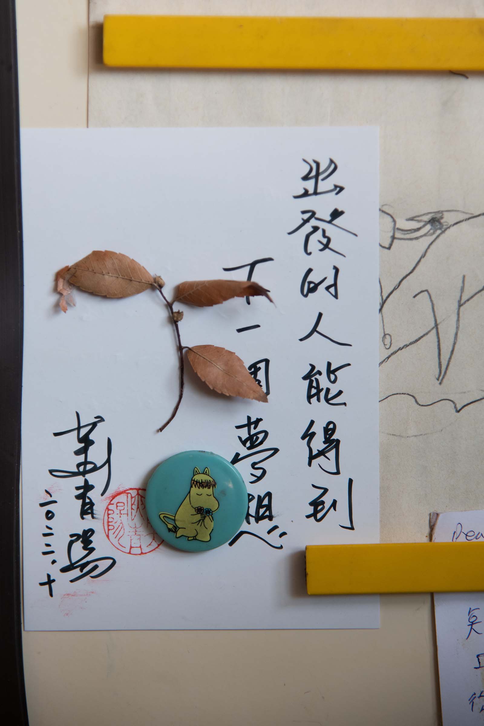 Beginningless Beginning-葛萊美獎-勵志-蕭青陽