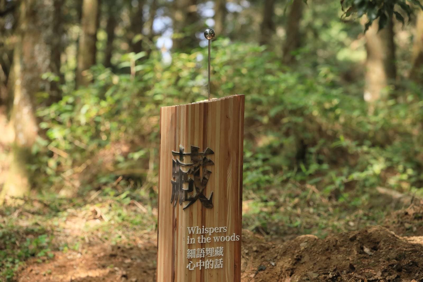水山療癒步道-阿里山-森林療癒-健行