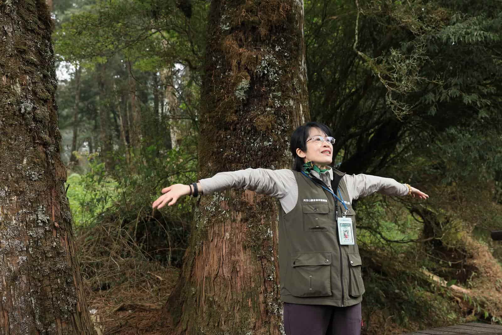 水山療癒步道-阿里山-森林療癒-健行
