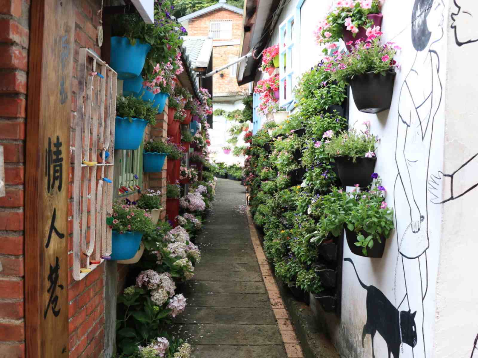 南庄老街-南庄花卉節-苗栗