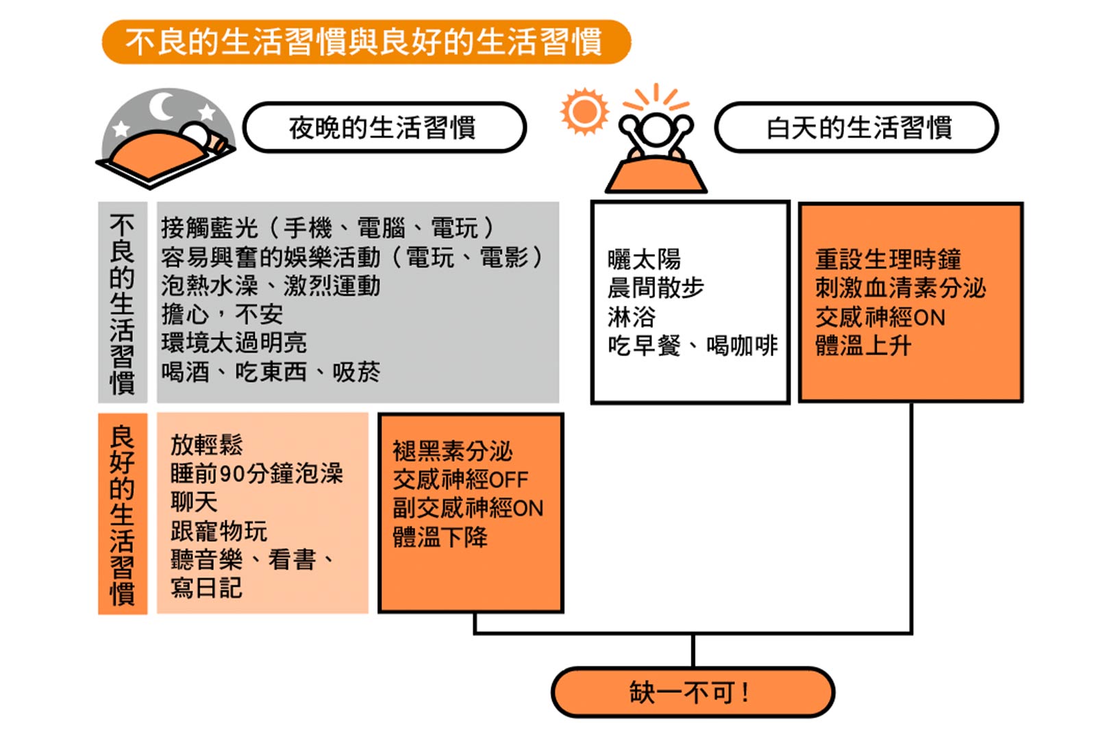 養生保健 晨間 散步 生活習慣 血清素