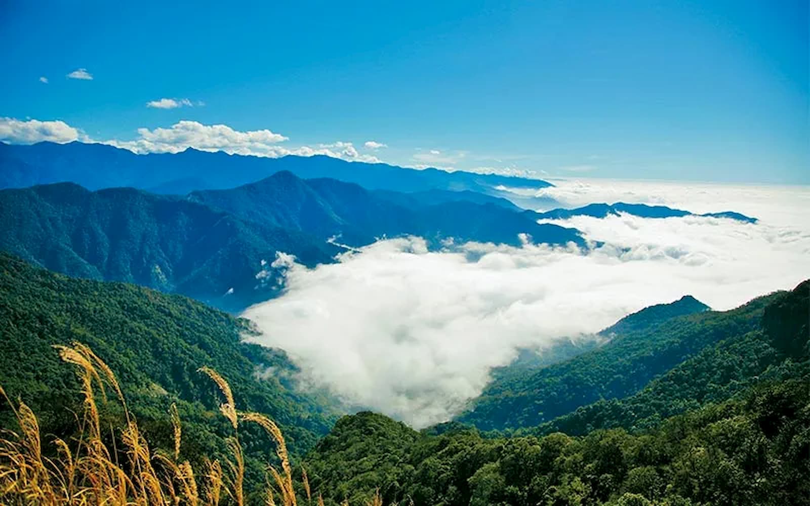 海拔2220公尺的加里山，被苗栗人稱之為母親山。