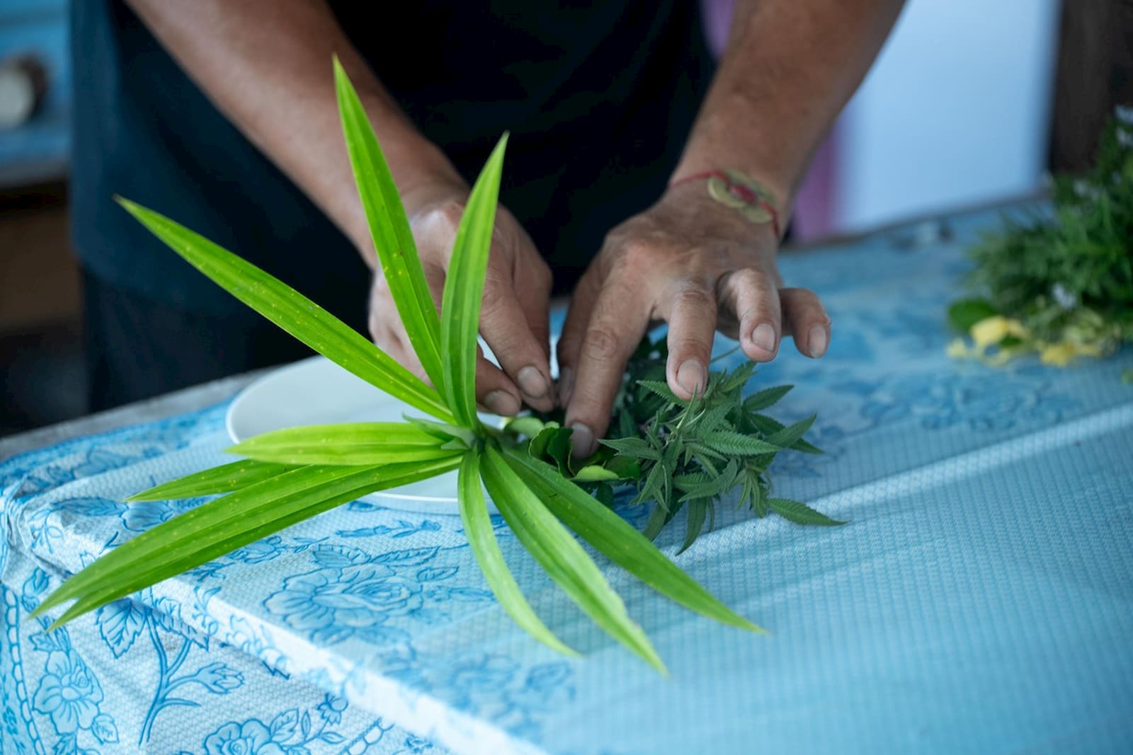 以有機的方式種植薄荷、羅勒、迷迭香等香草