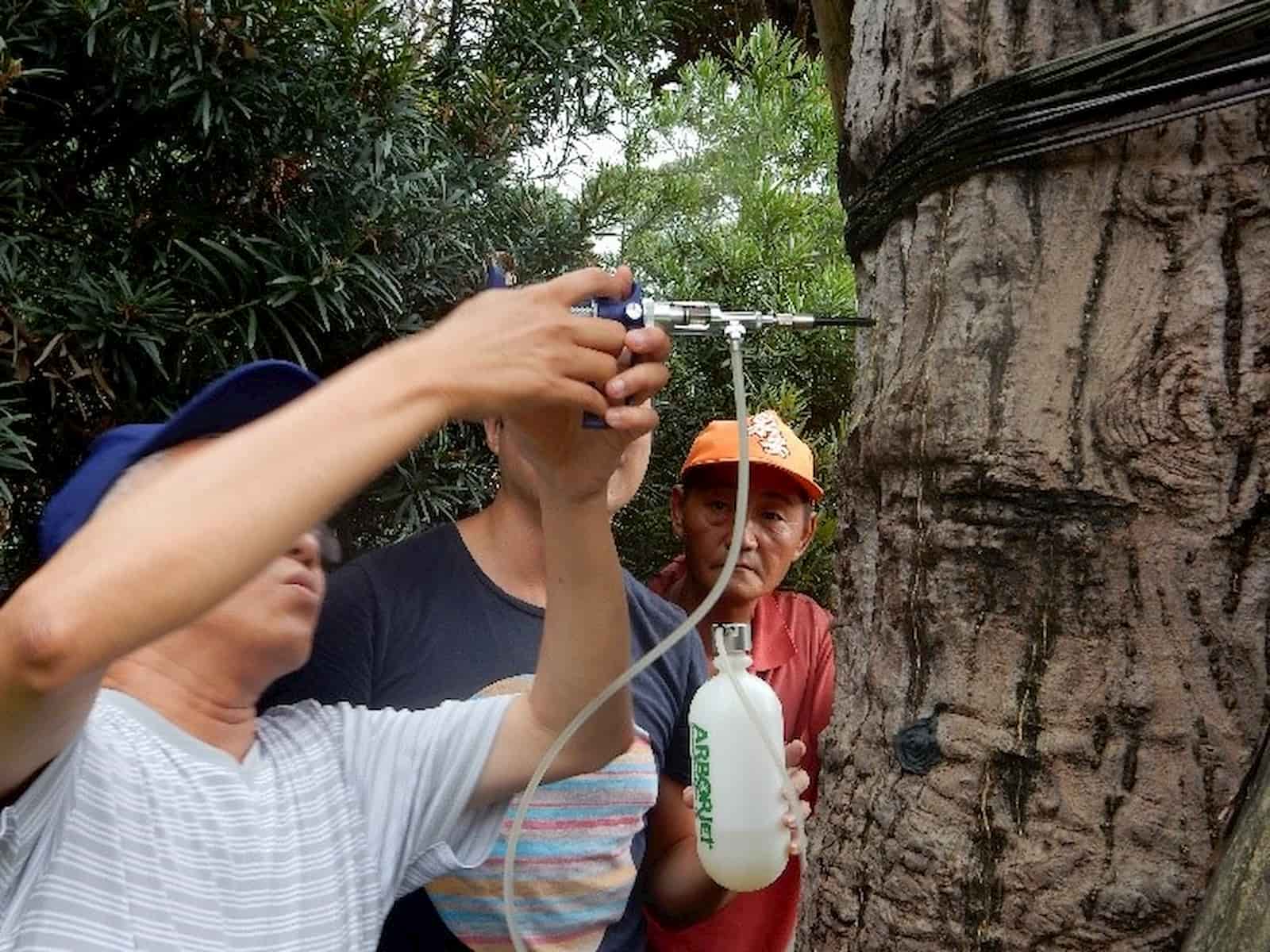 樹木微注射技術，精準針對病蟲害防治，減少環境汙染。