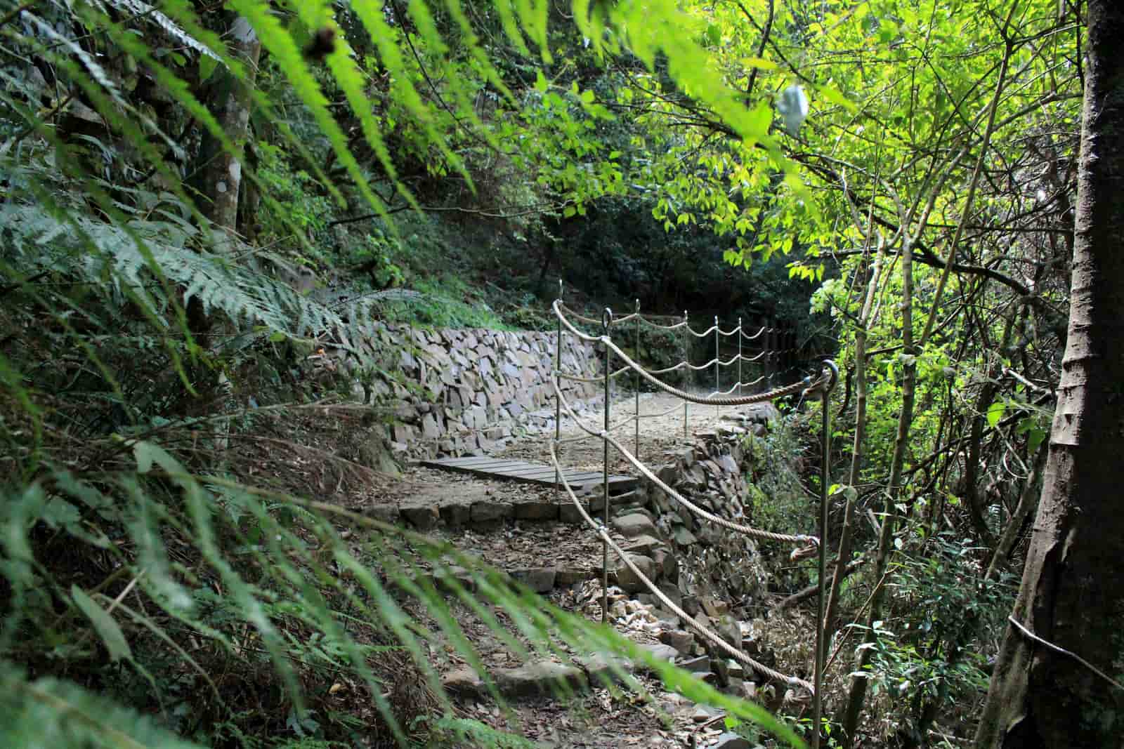 原民文化與自然保育兼具的環山獵人砌石步道,是探索永續旅遊的最佳場域。