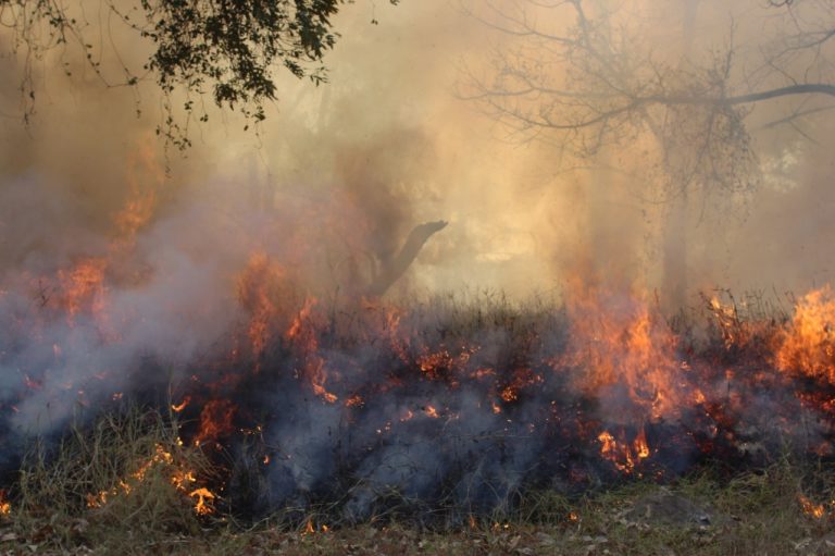 incendios-forestales