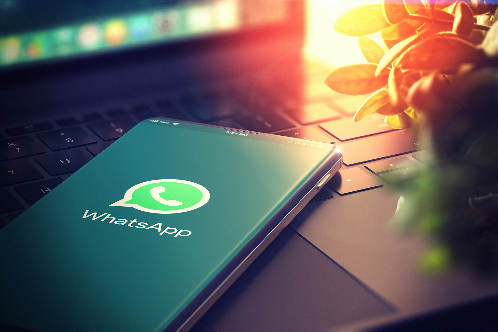 Funciones Que Desconocías De Whatsapp No Volverás A Ver La App Igual 1722