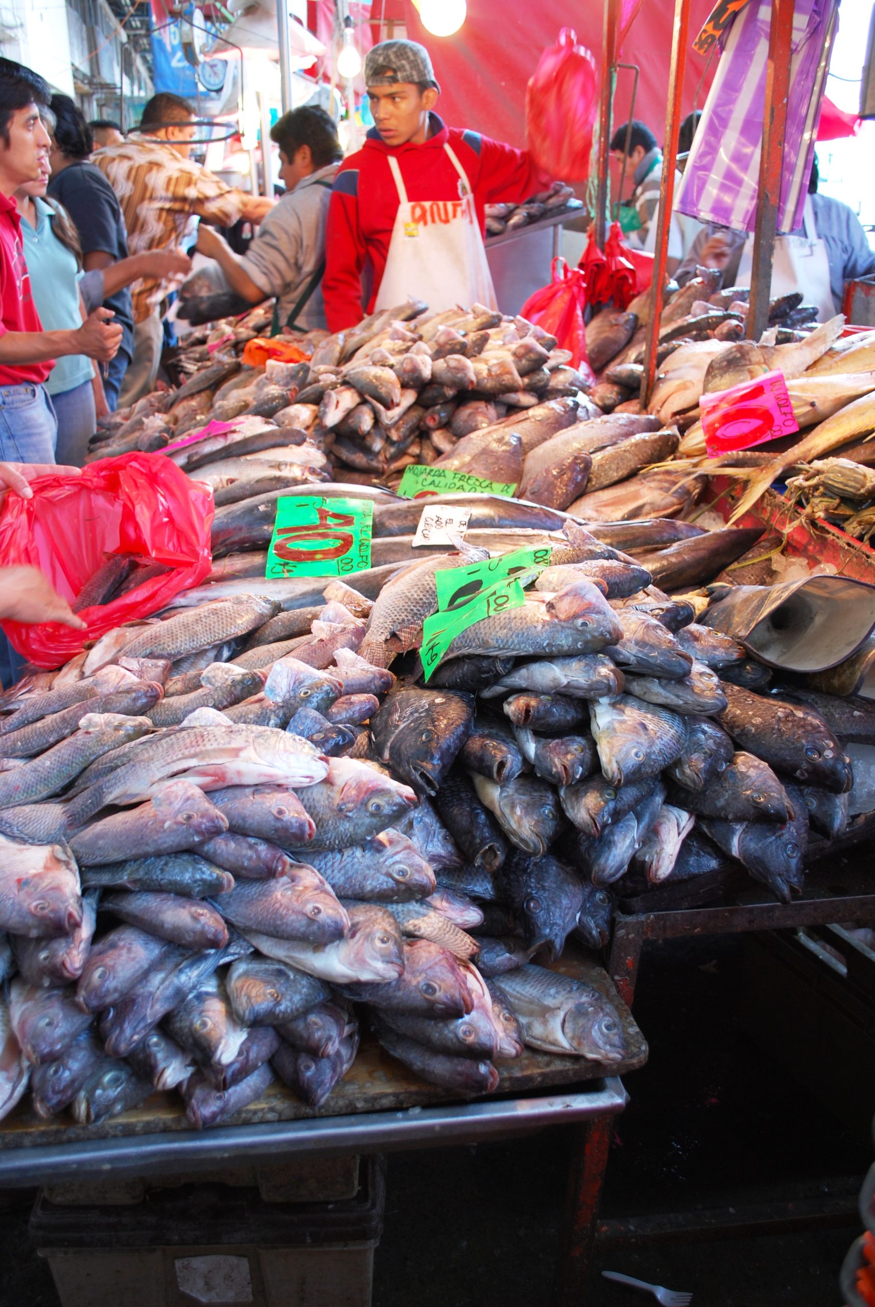 Vendor-La-Nueva-Viga