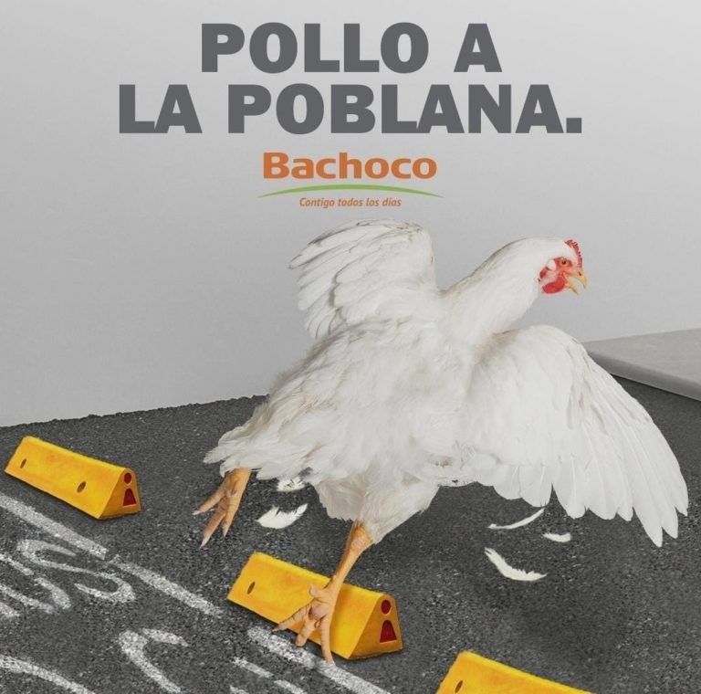 Bachoco-publicidad