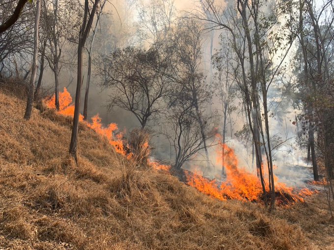 incendio-bosque-de-chapultepec