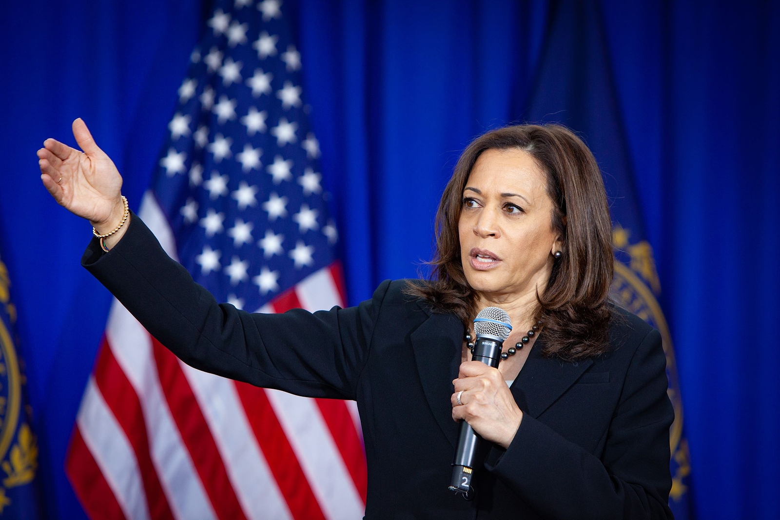 Kamala Harris visita México temas migratorios