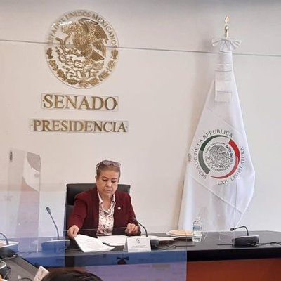 senadora-morena-Línea-12