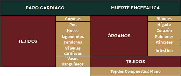 Donación de órganos