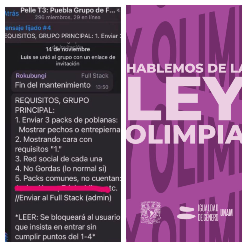 Ley Olimpia