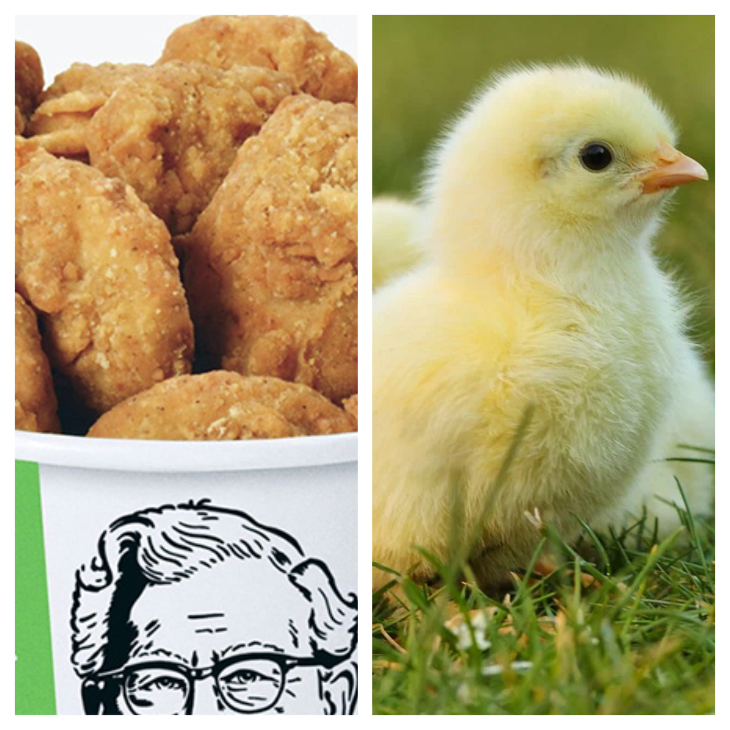 Nuevo menú: “Pollo frito vegano” en cadenas KFC