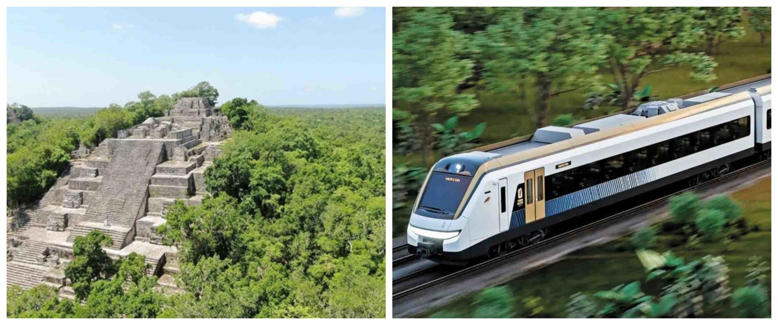 tren maya selva