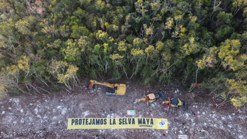 Greenpeace Tren Maya