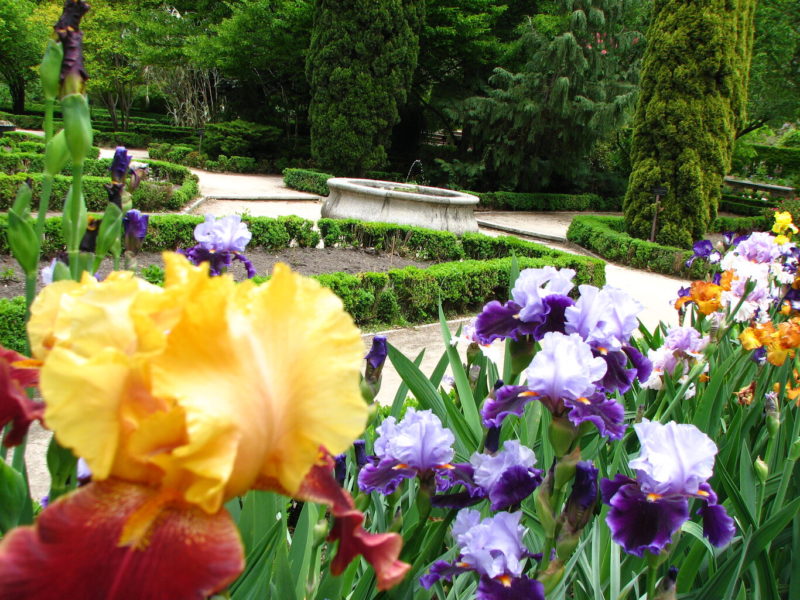 Jardínes botánicos.