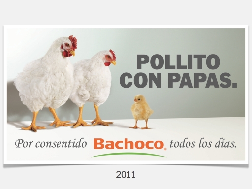 bachoco publicidad