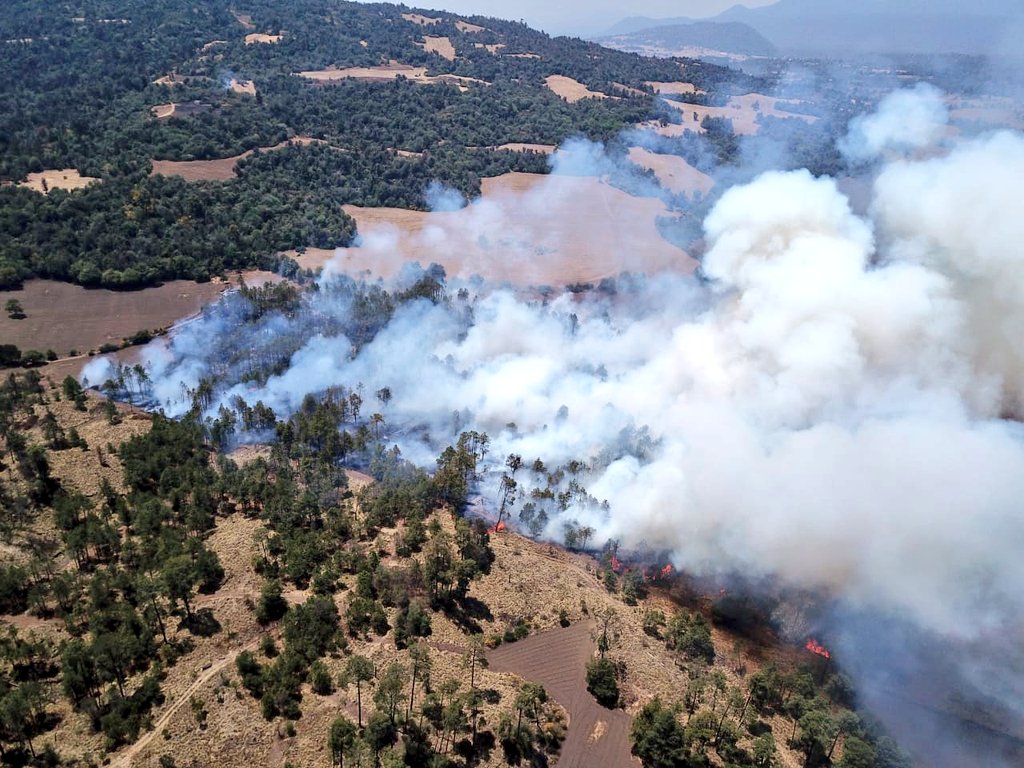 Incendios forestales en México