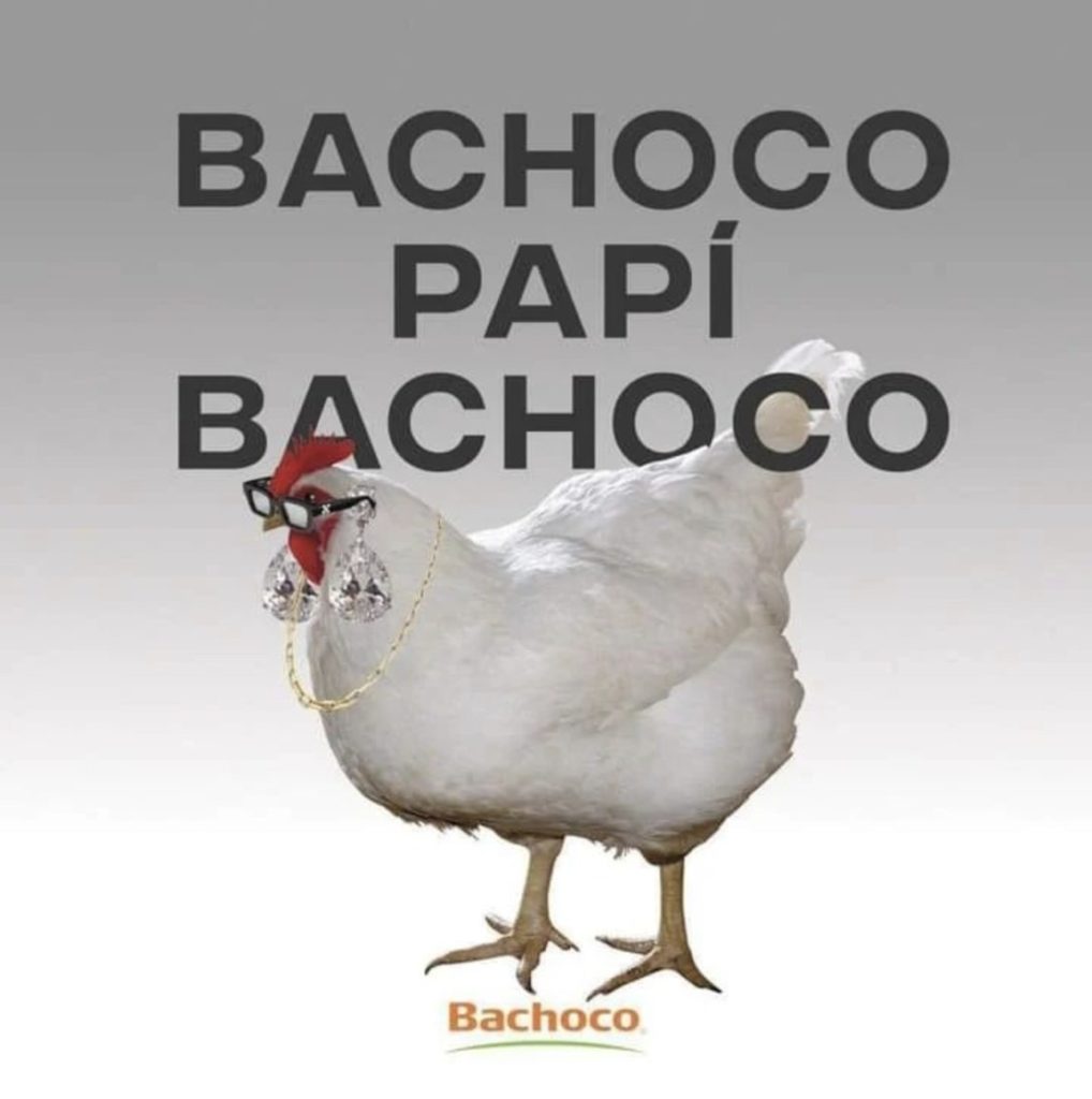 Bachoco Papi Bachoco Estas Son Sus Mejores Campañas De Publicidad 8402
