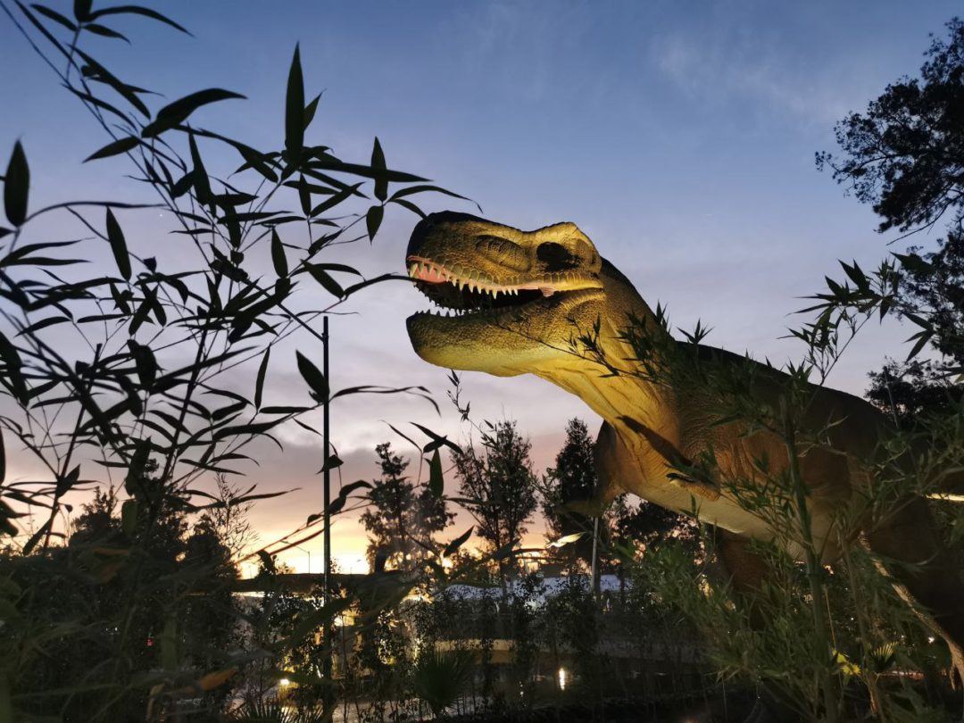 Lugares para ver Dinosaurios en la CDMX Lugares para ver Dinosaurios en la CDMX
