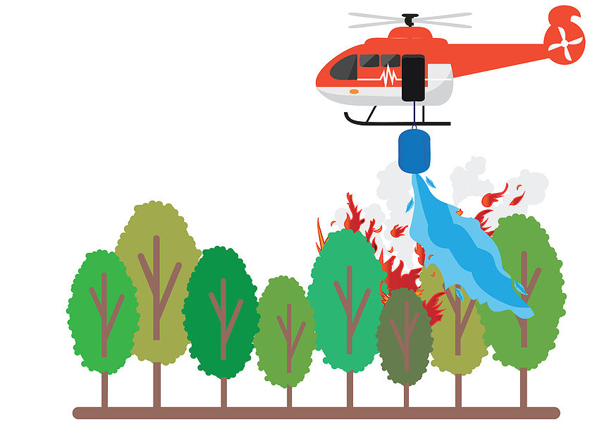 causas y consecuencias incendios forestales.