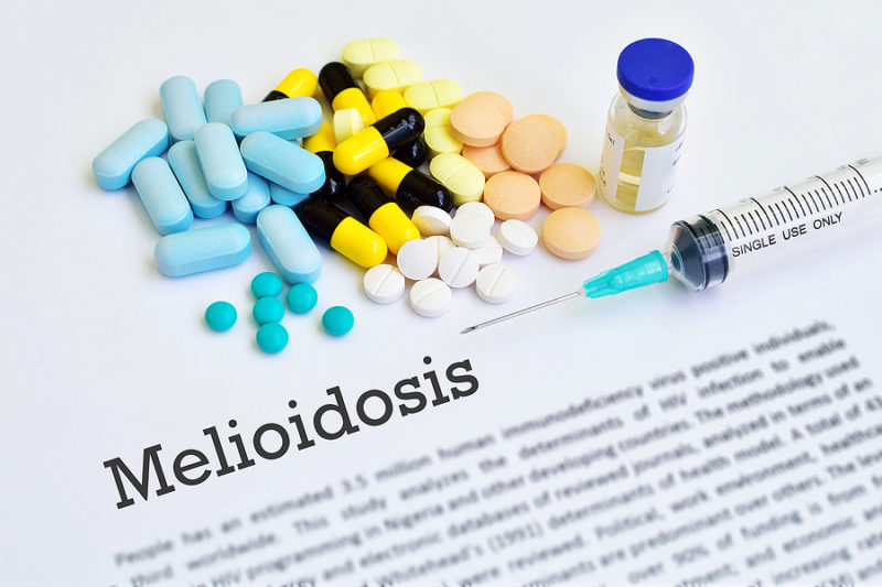 bacteria melioidosis