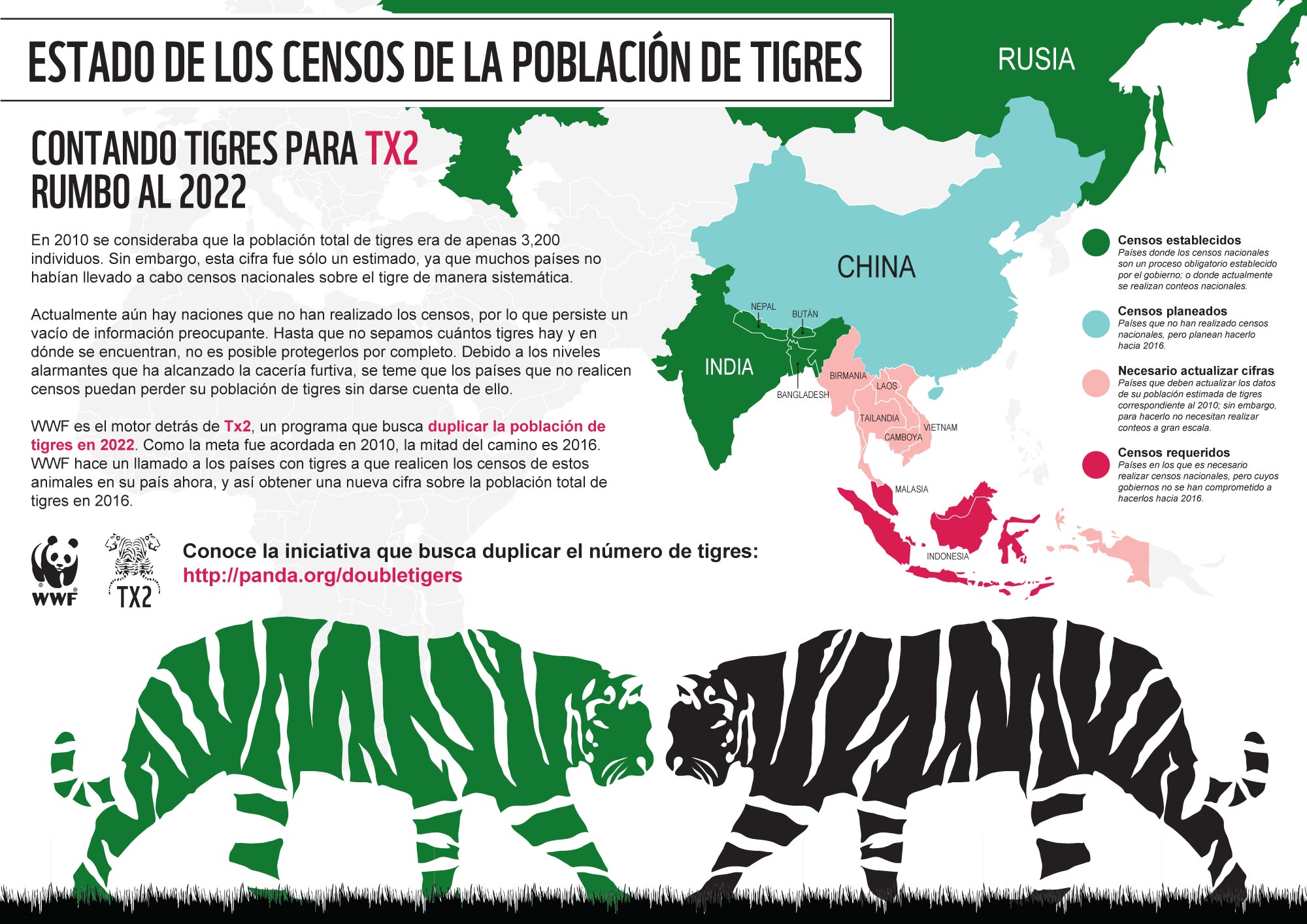 día internacional tigre