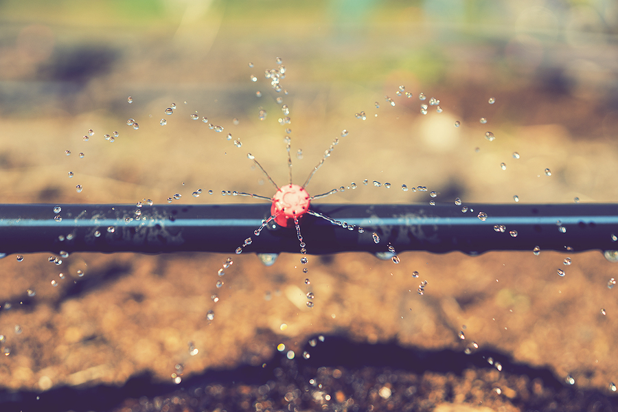 agua alimentos