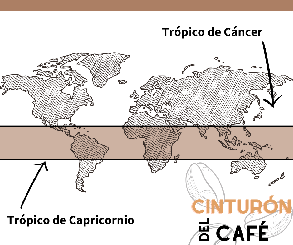 Cinturón del Café