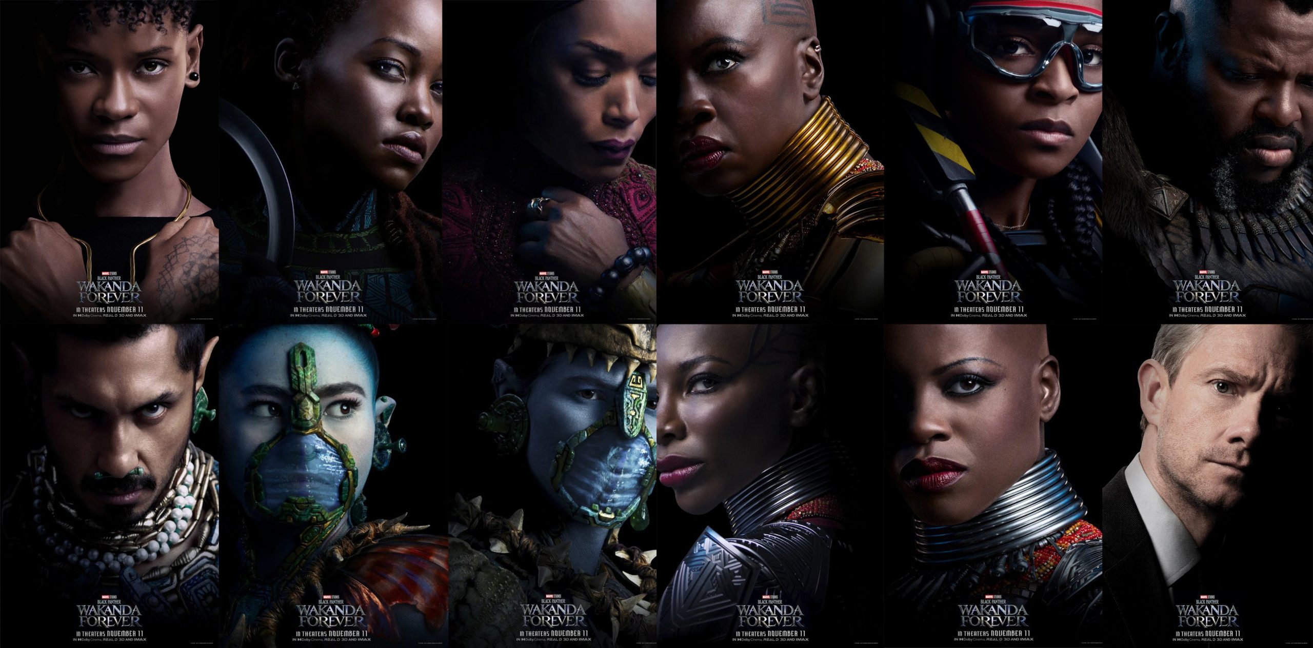 Black Panther pósters individuales