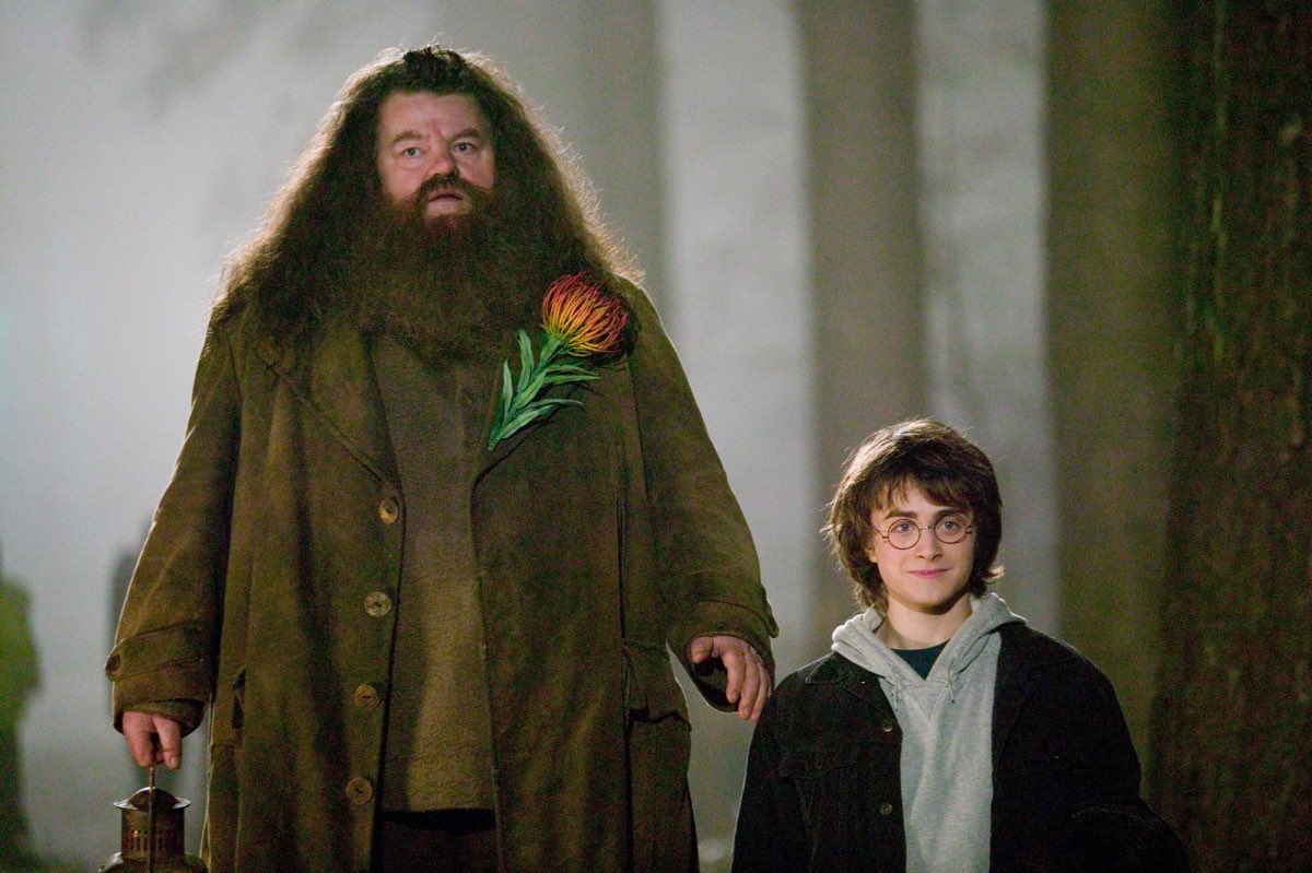 Muere Robbie Coltrane Hagrid