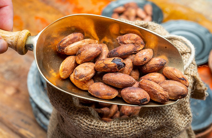 Día Nacional Cacao