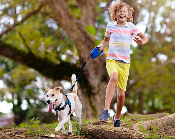 mejores razas perro niños