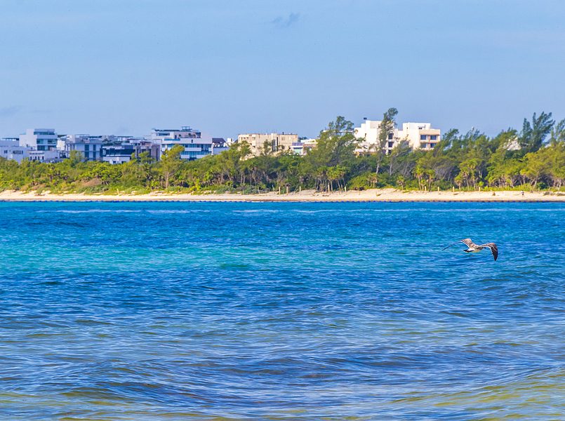 agujero azul Chetumal Quintana