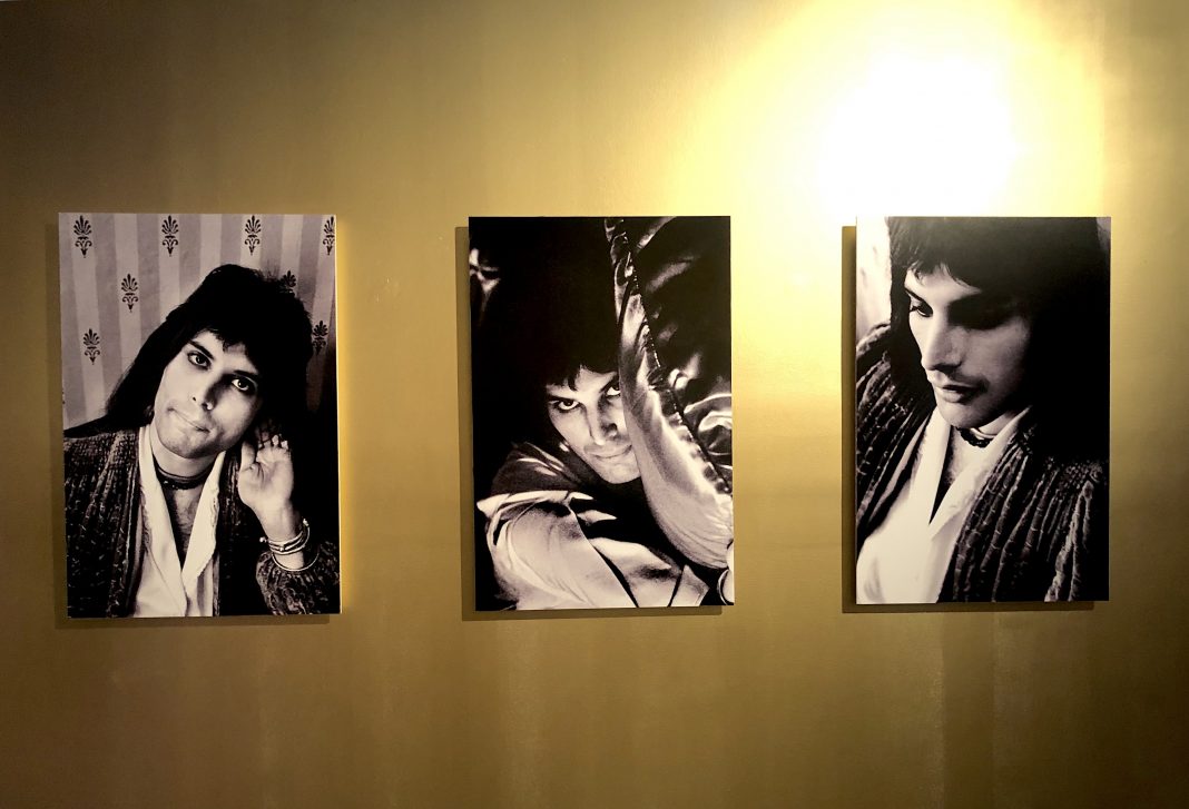 La vida de Freddie Mercury en fotografías es tan extravagante como impresionante, su lucha por destacar su increíble voz siempre fue su objetivo de vida.